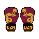 BRAZEN - Fight Gear